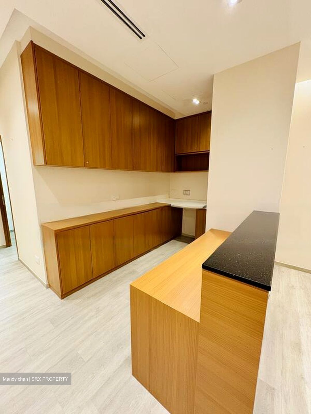 Mount Elizabeth Novena Hospital (D12), Retail #485058341